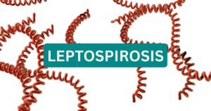 leptospirosis-dr-swapnil-gautam