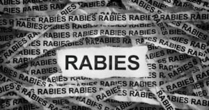 rabies_disease
